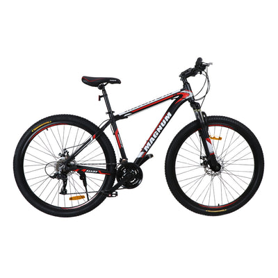BICICLETA ARO 29" - MONTAÑERA